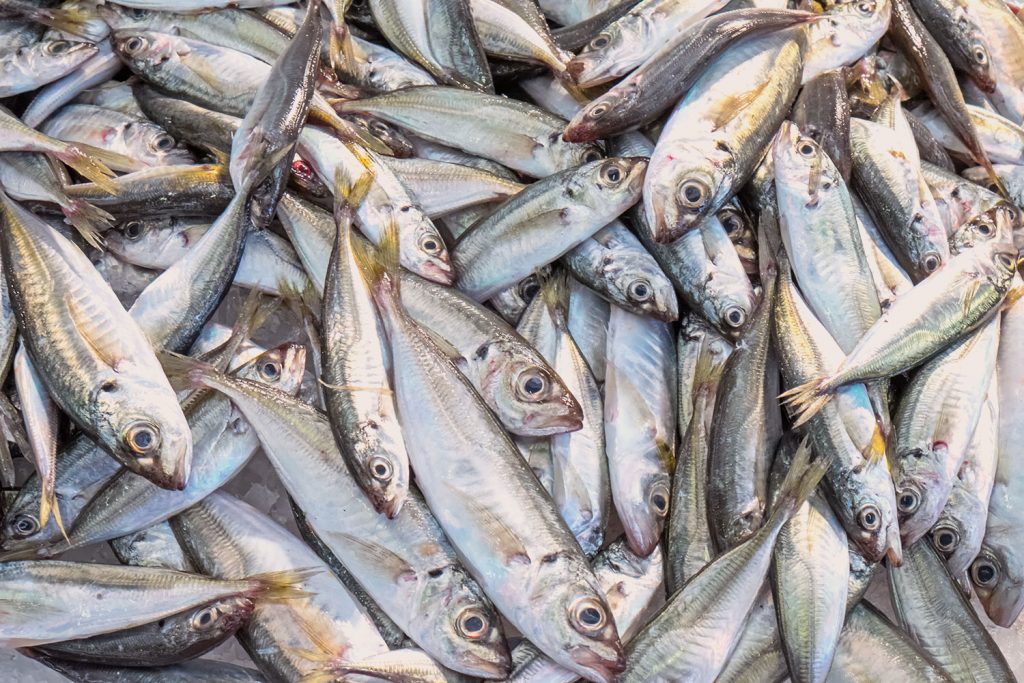 omega 3